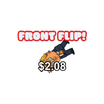 Flip Bonuses
